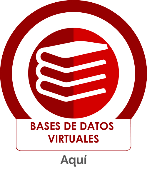 bases de datos