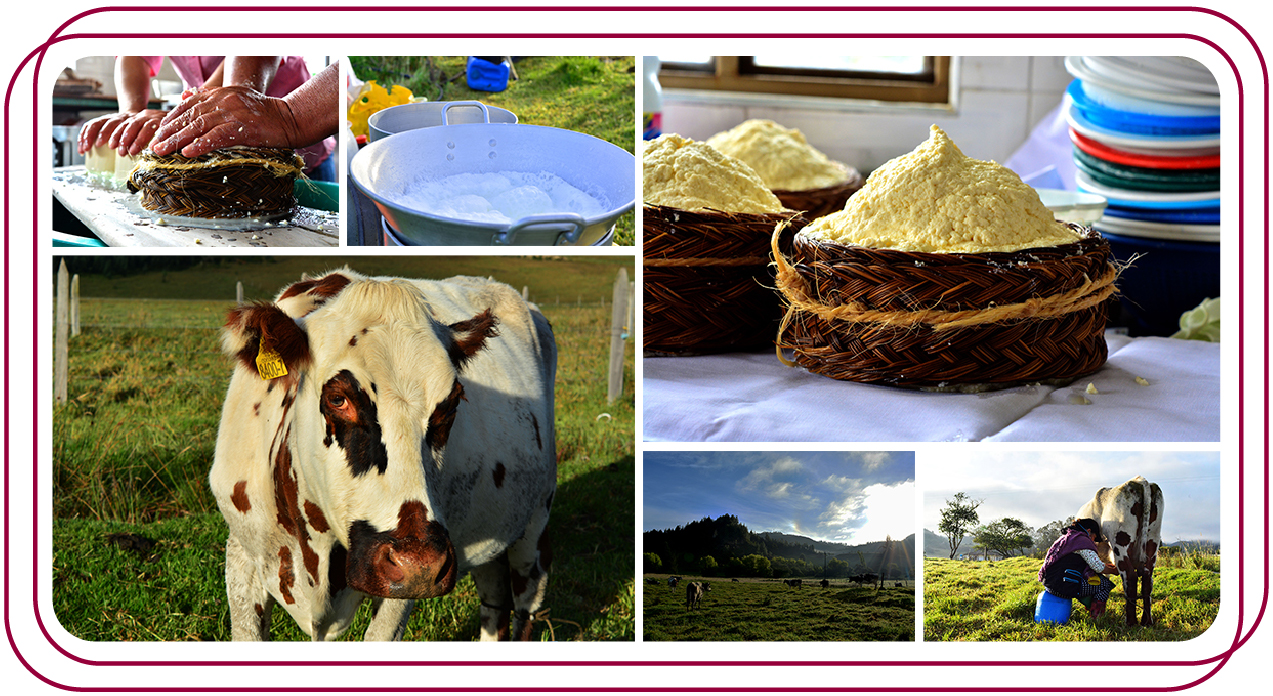 Collage Queso Paipa
