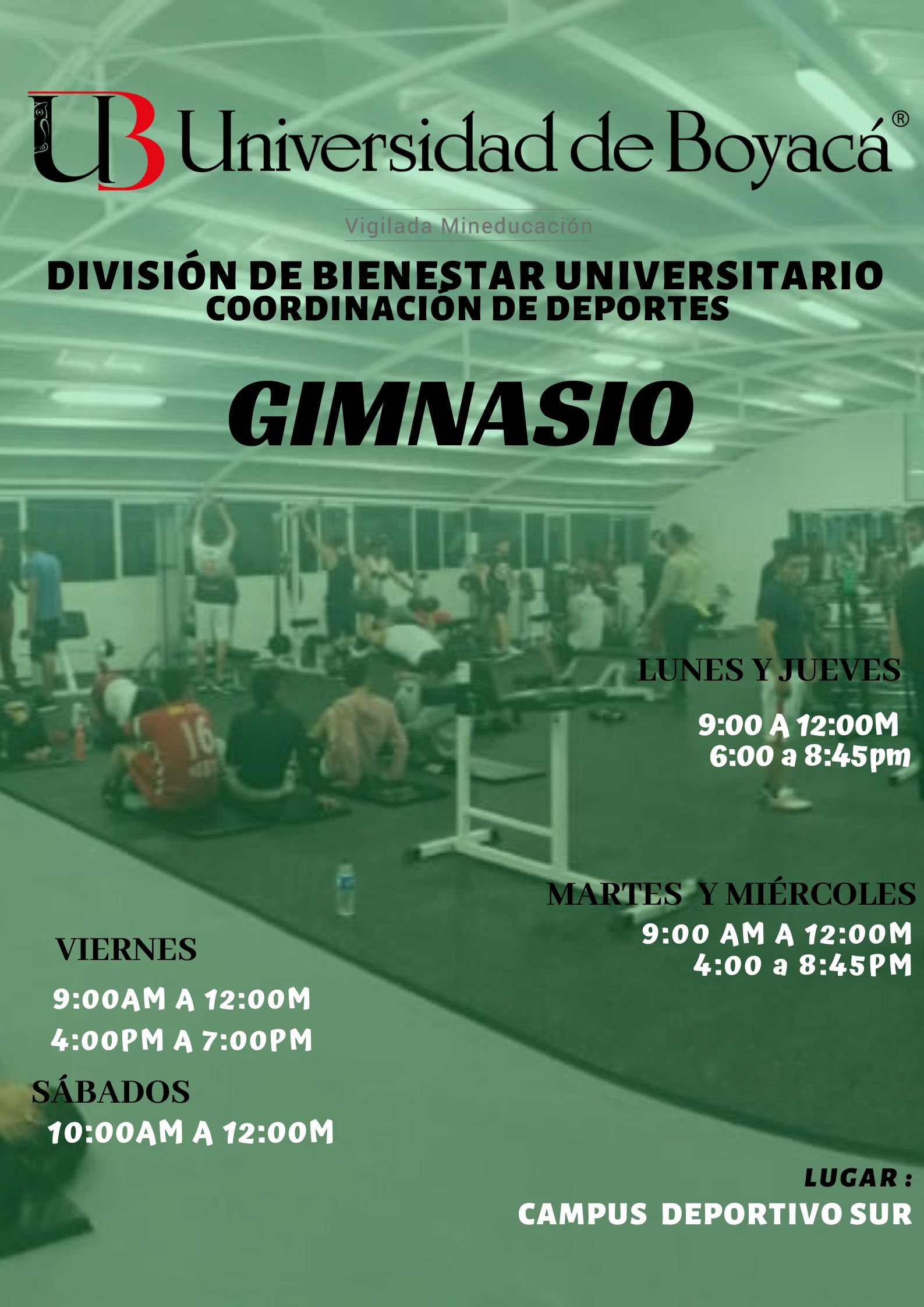 horario gym