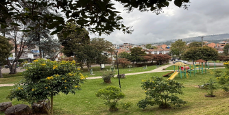 Zonas verdes en perfecto orden y armonía.