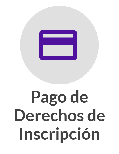 pago de derechos