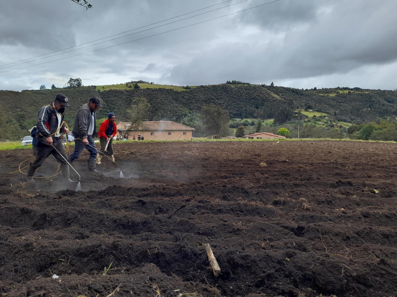 Boyacá es el segundo departamento productor de papa en Colombia.