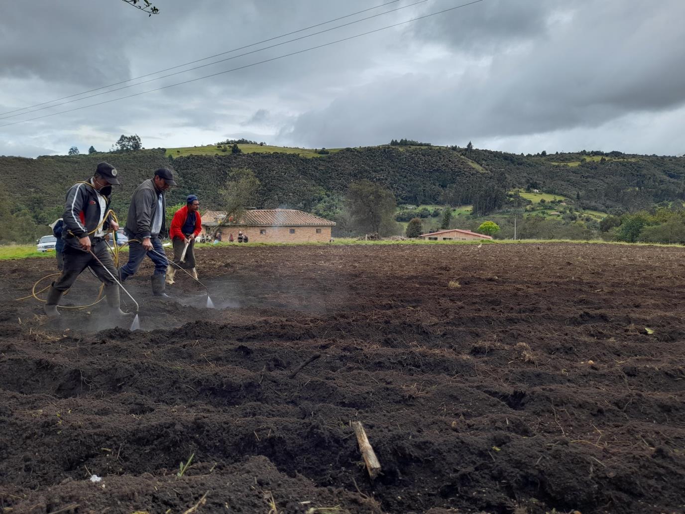 Boyacá es el segundo departamento productor de papa en Colombia. 