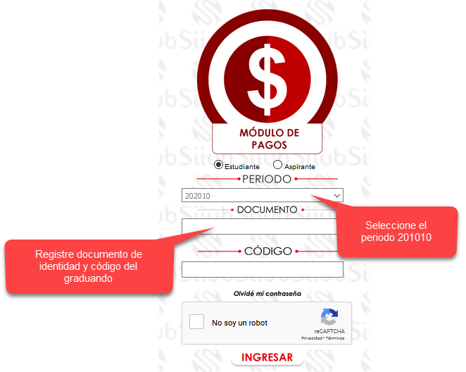 Módulo Pago