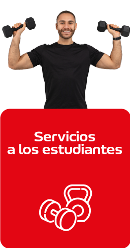 servicios