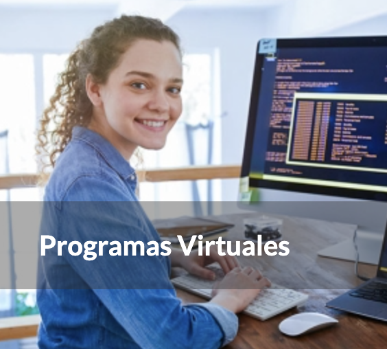 programas virtuales