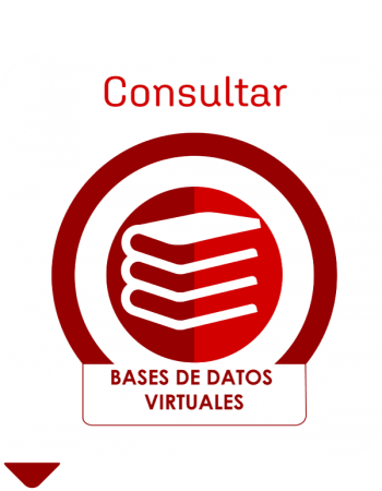 Bases de Datos Virtuales