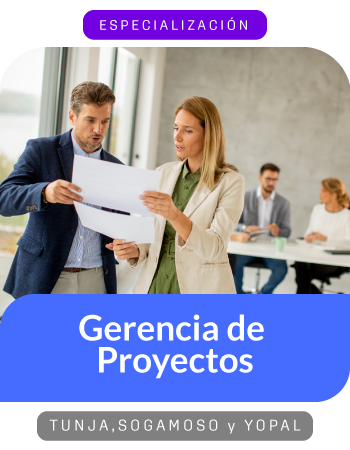 Especialización en Gerencia de Proyectos