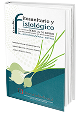cultivo_cebolla