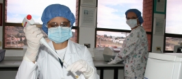 Semilleros de Investigación