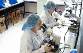 Programa de Bacteriología y Laboratorio Clínico - Técnico 