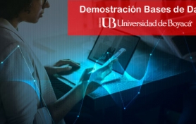 Demostración de las Bases de Datos