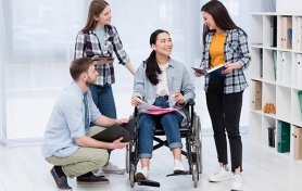 Profesional Sección de Inclusión - Sede Tunja