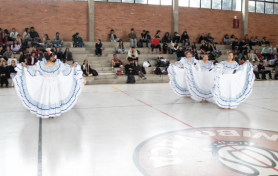 Muestra de Electivas Libres