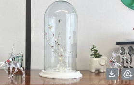 Cierre de Novenas Institucionales