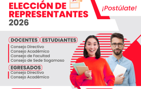 Postulación de Representantes UdeB