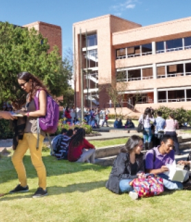 Servicio a la comunidad