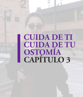 capítulo 3