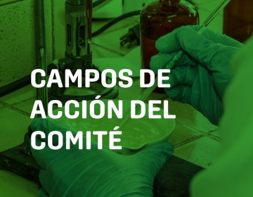 Campos de Acción