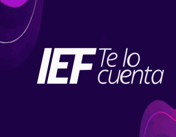 Newsletter IEF