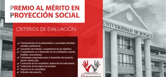 Premio al Mérito en Proyección Social