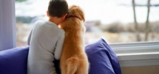 https://www.lavanguardia.com/estilos-de-vida/20130412/54372204114/quien-tiene-un-perro-tiene-un-tesoro.html