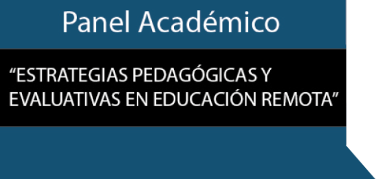 Panel Académico