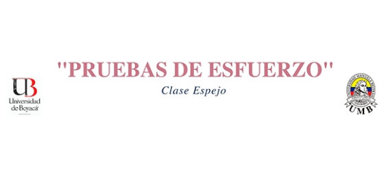Prueba de Esfuerzo