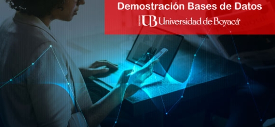 Demostración de las Bases de Datos