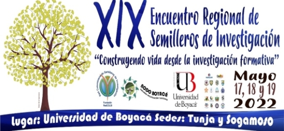 Infografía sobre el XIX Encuentro Regional de Semilleros de Investigación “Construyendo vida desde la investigación formativa”