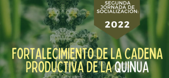 Fortalecimiento de la Cadena Productiva de la Quinua: Segunda Jornada de Socialización