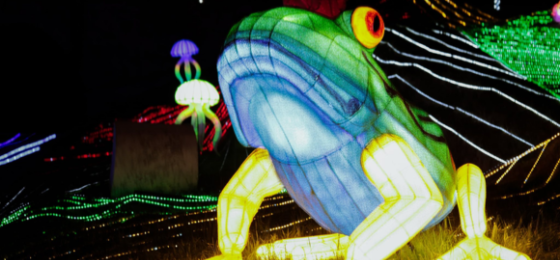 La tradición que ilumina los pueblos boyacenses