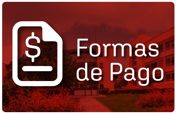 FORMAS DE PAGO