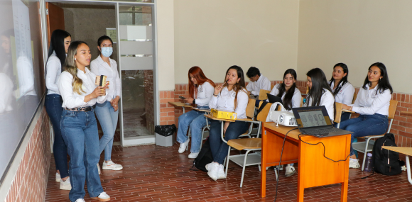 Proyectos de Ingeniería Industrial