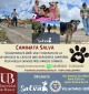 3ra Caminata Salva