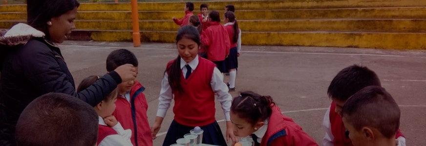 Voluntarios Incentivando la Calidad Educativa