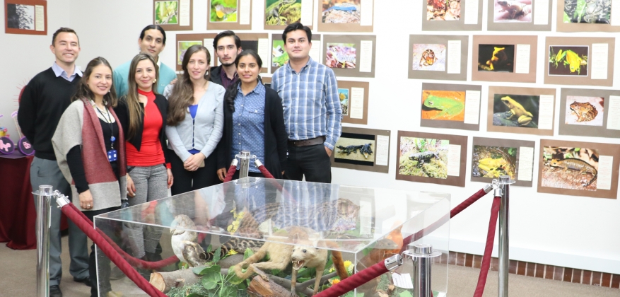 Museo Historia