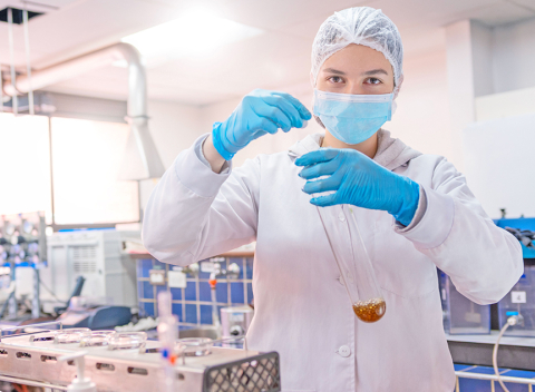 líneas-de-investigación